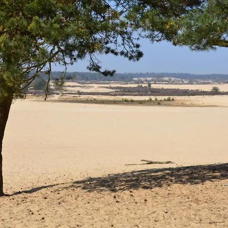 Duinhoeve-1 By Interhome * Udenhout