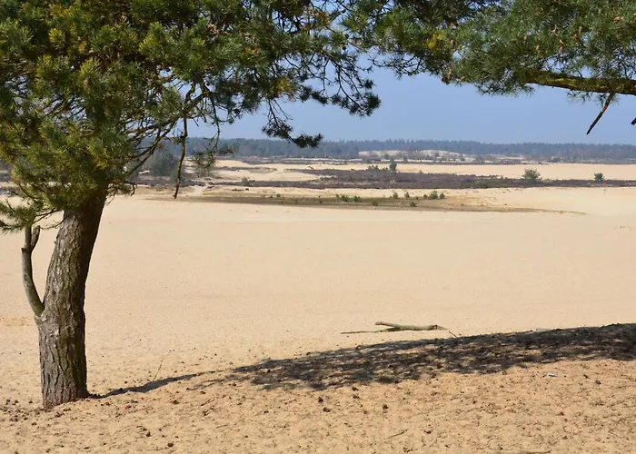 Duinhoeve-1 By Interhome * Udenhout